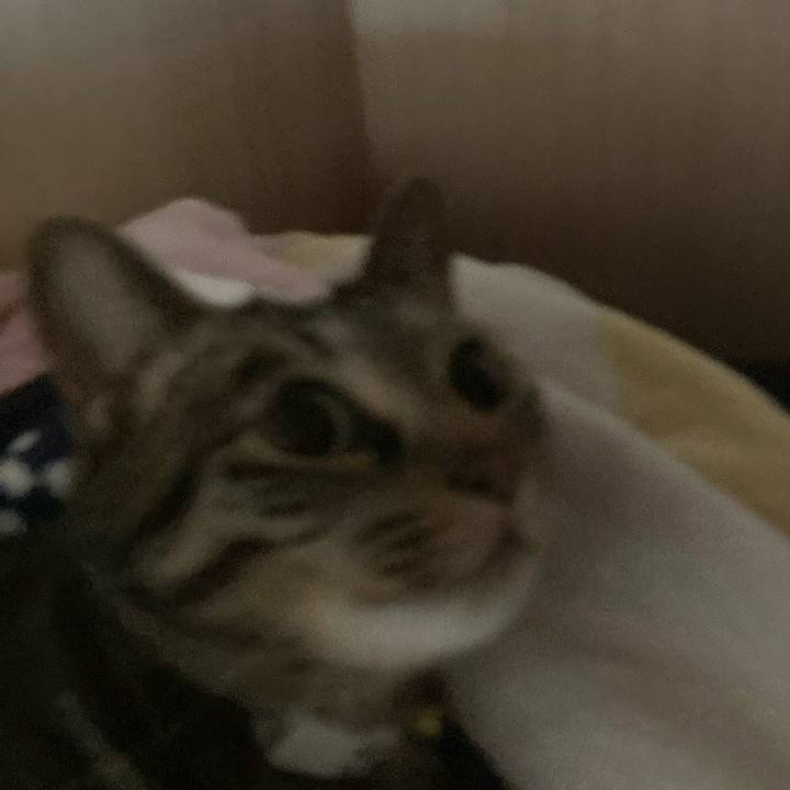 C4556944 6a40 4d4f aab3 a77734723094 1620358581730