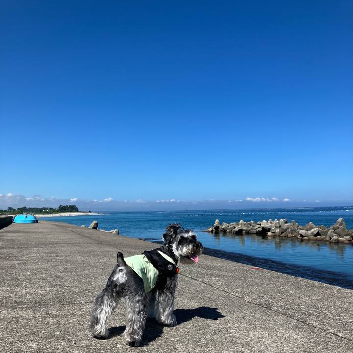 C4557ac6 2685 4b39 a3cc 345e1c547d17 1719634191241