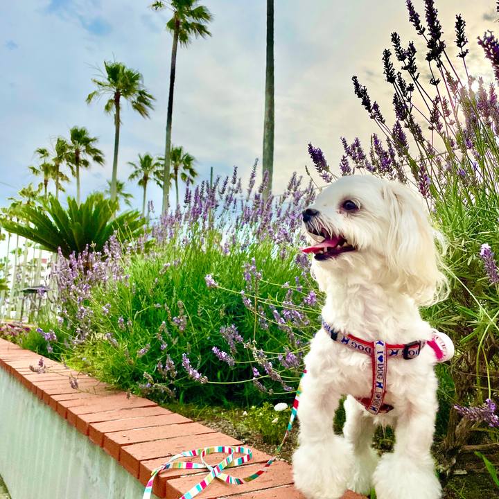 C4558025 eb7f 4fff b9f9 9486f597a29f 1624784644740