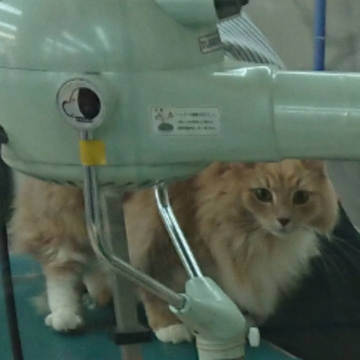 C45580ac 5c92 48a4 875c 2f7690a439a0 1580188485865