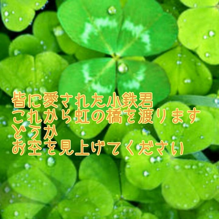 C455b7f9 bf03 428e 887f 9fc3bb1a5d4d 1528781596416
