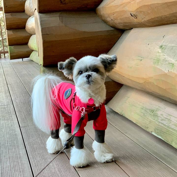 C455beca ad37 488e a2c1 5ea3b23ff8a7 1611043260220