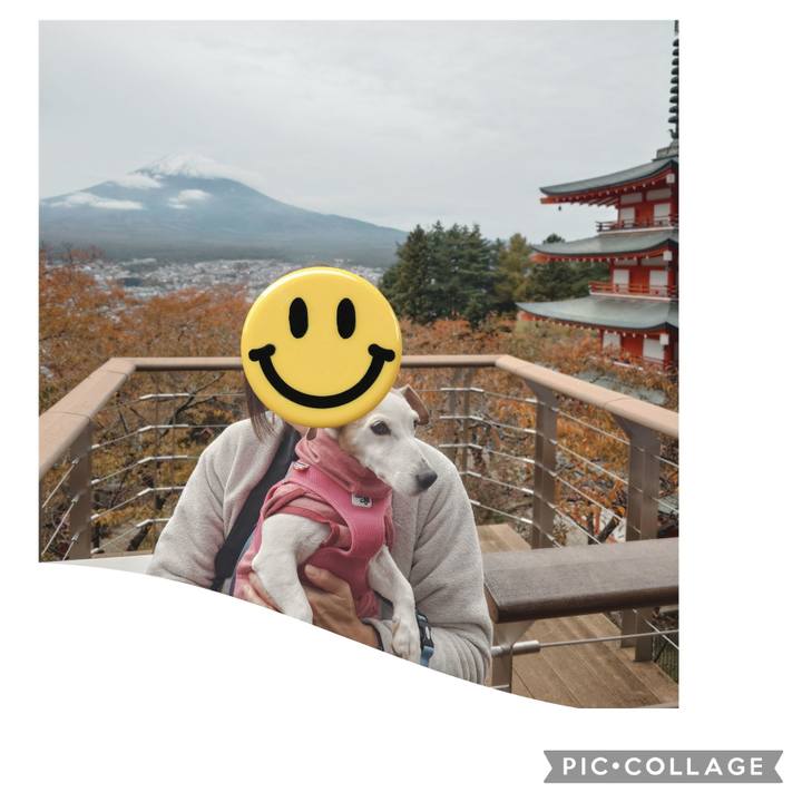 C455c8c0 22d2 4873 a38d 8ea0c4c13caa 1762321918013