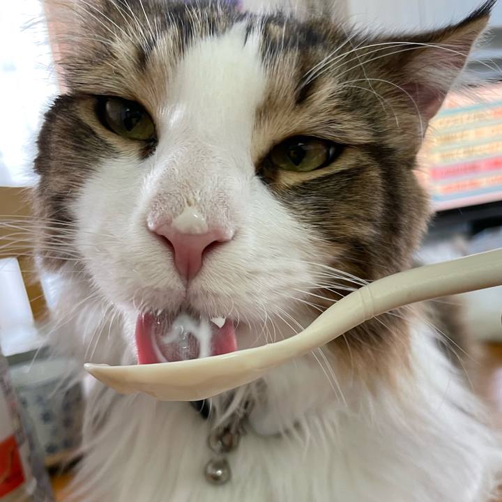 C455e9a7 63bc 4629 9884 46cf3e3b4e37 1650490609477