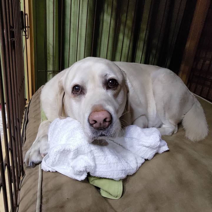 C455f869 4ac8 481e aa57 b4631d26175f 1716644388940