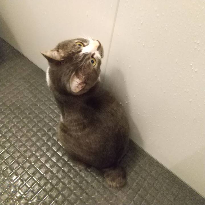 C4564fe1 3c7f 4d60 8f1a d2a7fdac59bd 1608154839850