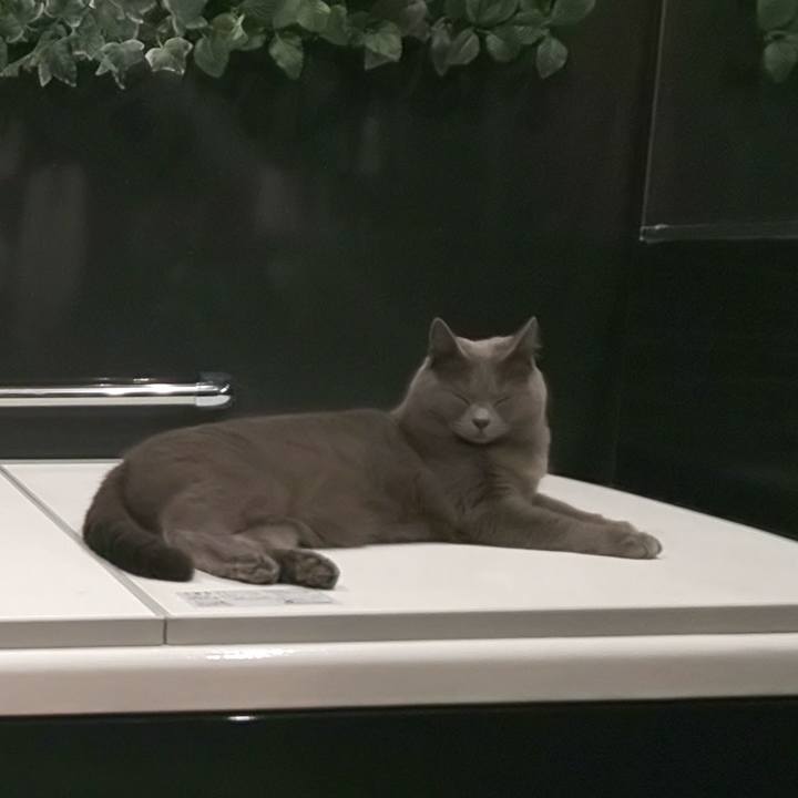 C456689f c133 4d3a bcef 0f104fd2804a 1577000774692