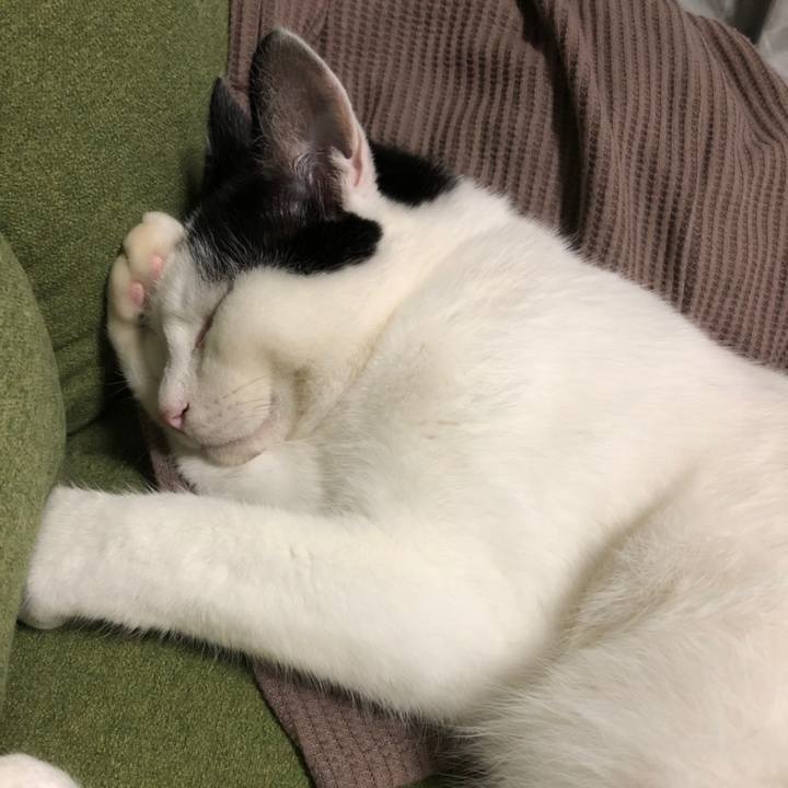 C4566aff 0f80 4fd4 b3dd d2a40bc4abec 1558418804684