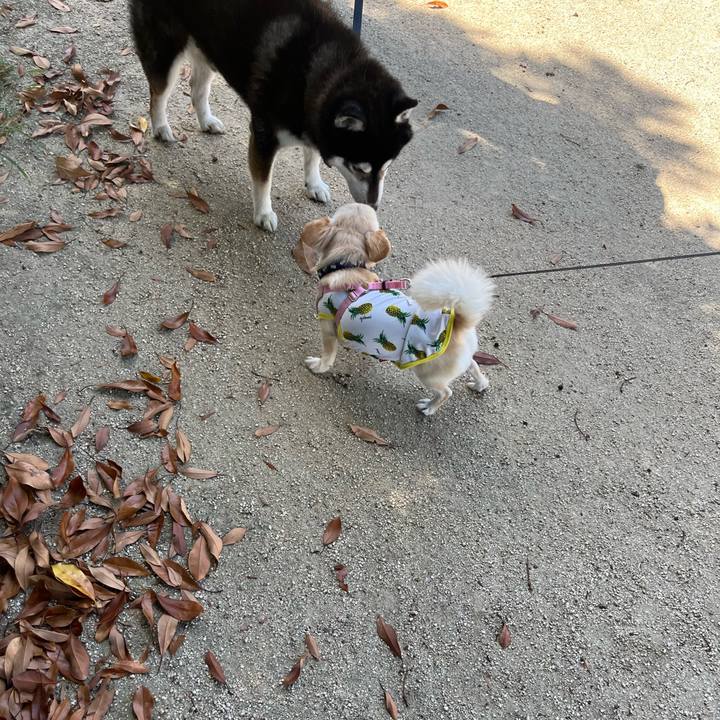 C456caa9 7db6 49e6 9113 5e0889e929e2 1723444216501