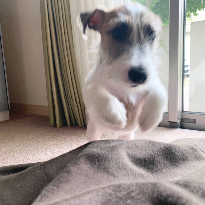 C456cd7c 6d7c 4be5 ae53 fc4908b7efa8 1562839573704