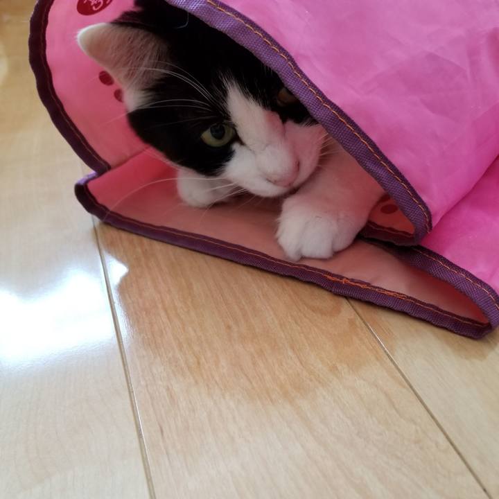 C456e5a0 7f60 4783 a153 e9c4f0b23af2 1552430742217