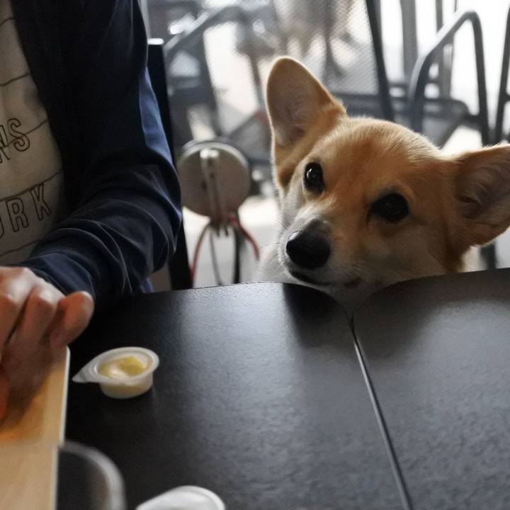 C456fbcc caec 4133 a22b e16aa274b660 1525430124602