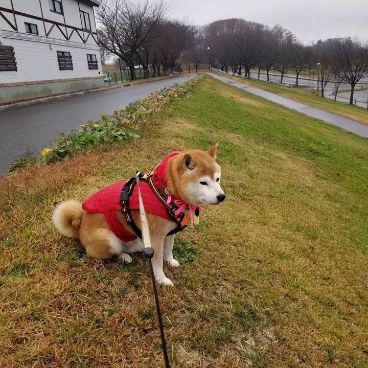 C4573352 1b89 4733 9c64 bec20fed8281 1669178428731