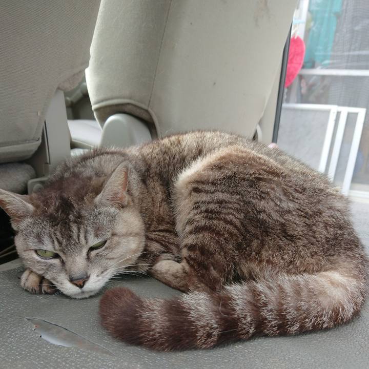 C4574427 ee8b 40ba b927 781f5f45dcfe 1563606686765