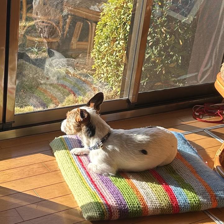 C457a184 c1e6 4b6d 9627 83cdf778fee8 1769073328361