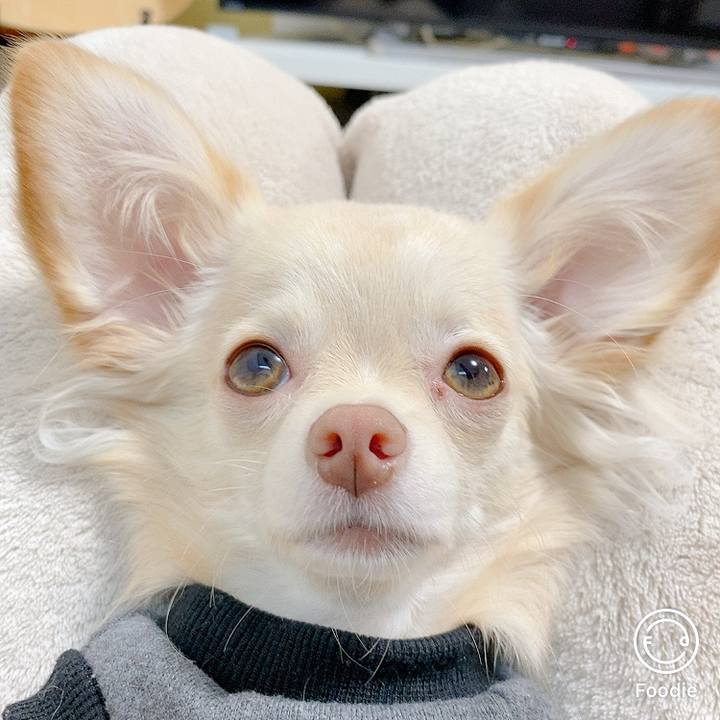 C457ad99 045e 408c a849 ade4cb023c5a 1603171254664