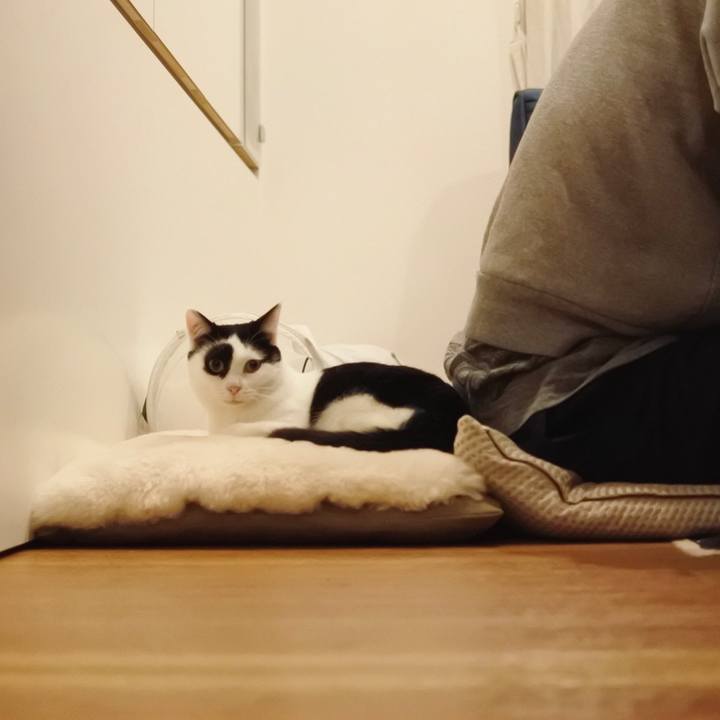 C457f04d adc6 4240 ad9a de55cb30b680 1514372723844