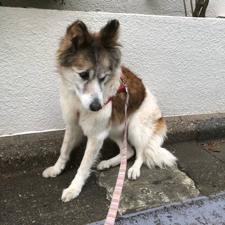 C45801ed 4dad 4d2a 809d 719d6de97179 1542156620323