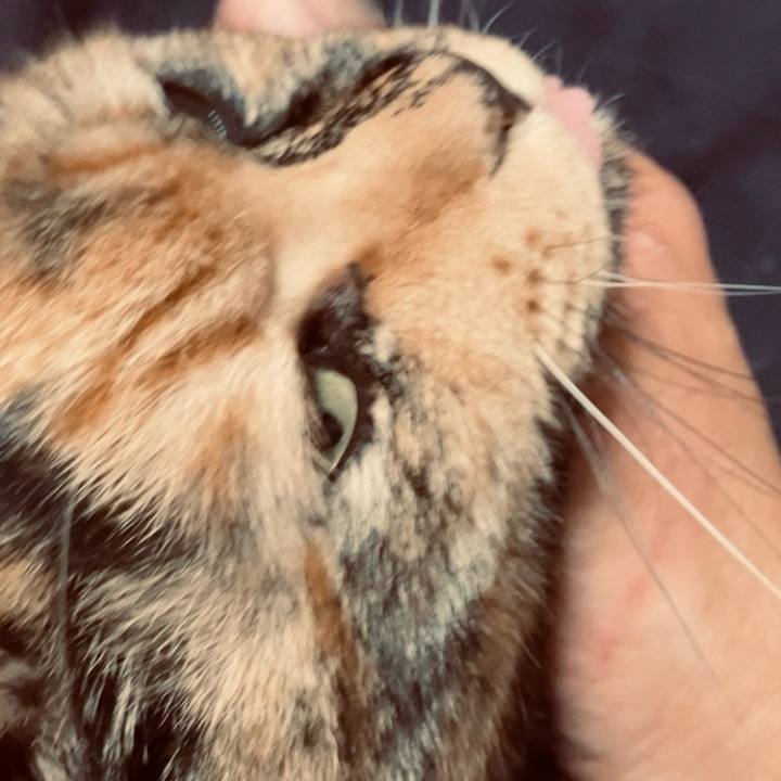 C45817f5 b144 43ad 8e8b 90ce13a34a7c 1738584537284