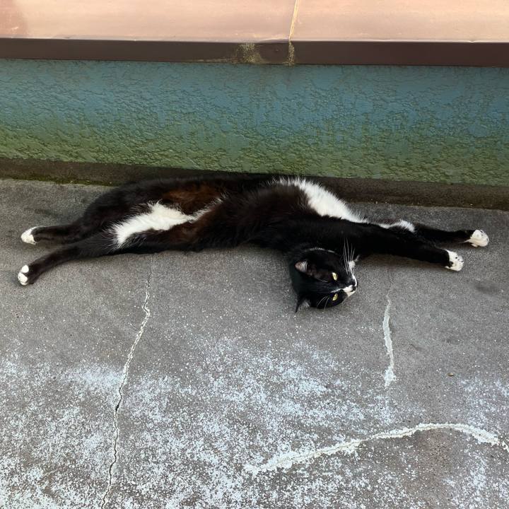 C45893c7 0320 4f8b b3bb fd4fc8cfc1c9 1752638354620