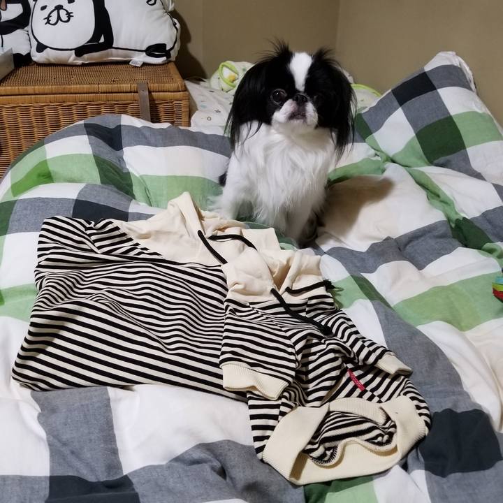 C458ada1 7e3f 4ddd aec0 b45ed391b12e 1667041582896