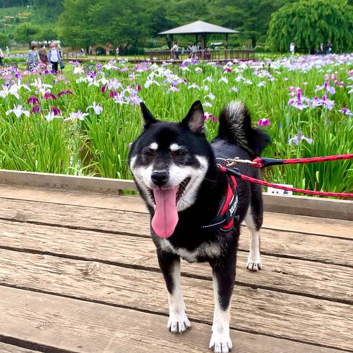 C458b545 5835 4d13 bffe a94ecf04807d 1687231299919