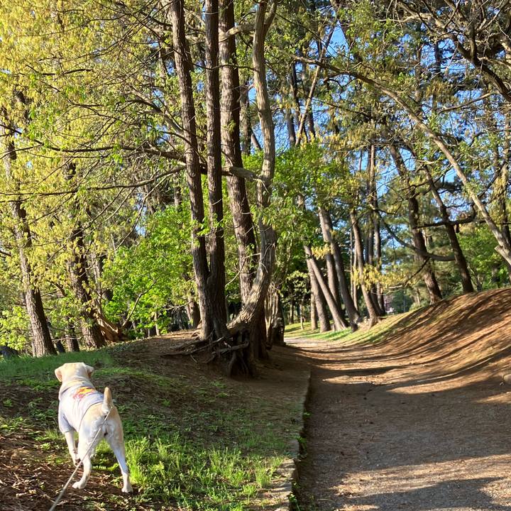 C458c61c d58d 41b0 a565 ca9572214d84 1680995746380