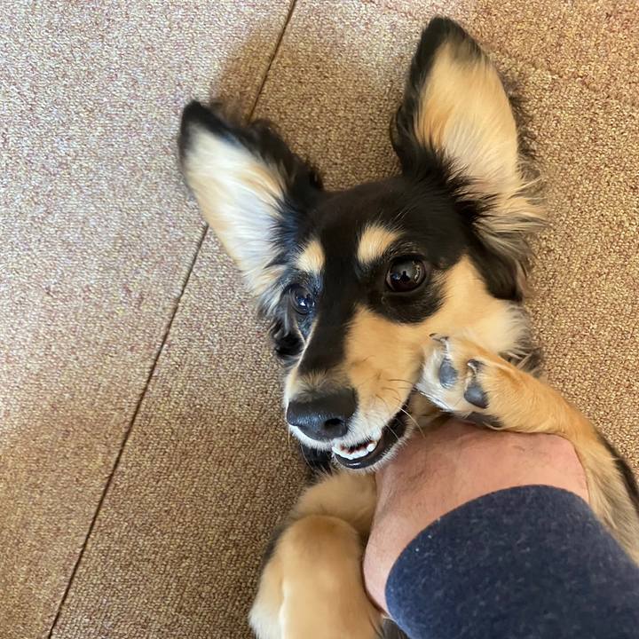 C45907f2 c421 43de b0f8 5c580b84c353 1677911713128