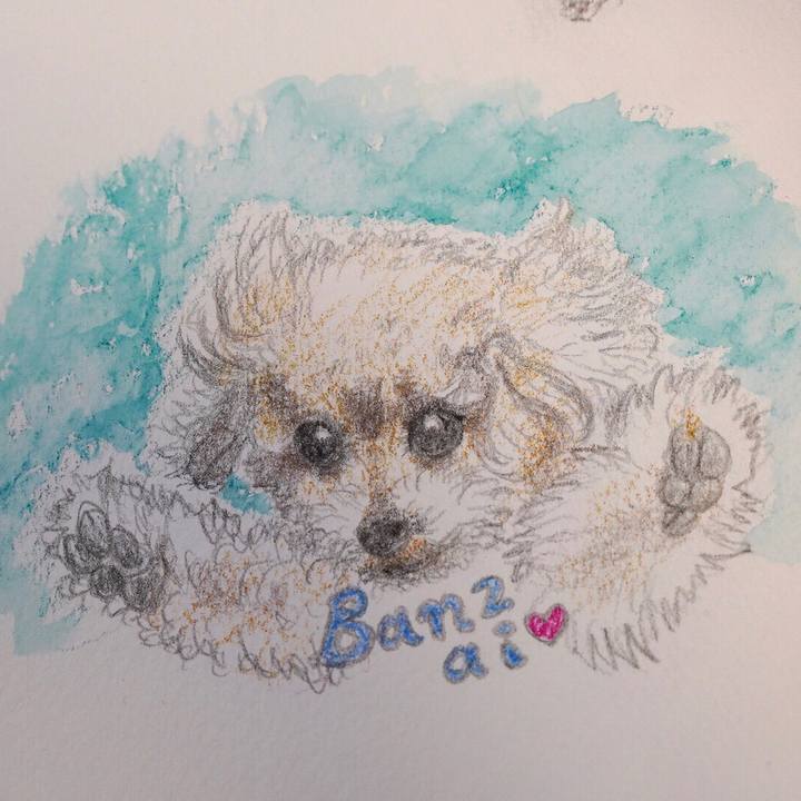 C45966fc 94c2 47be 9672 4d18444e22c4 1743085540462