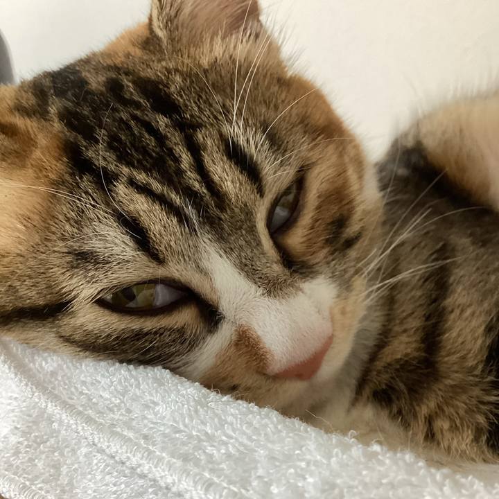 C459b270 d4ba 4621 9d88 4efec2e8fdef 1652491983679