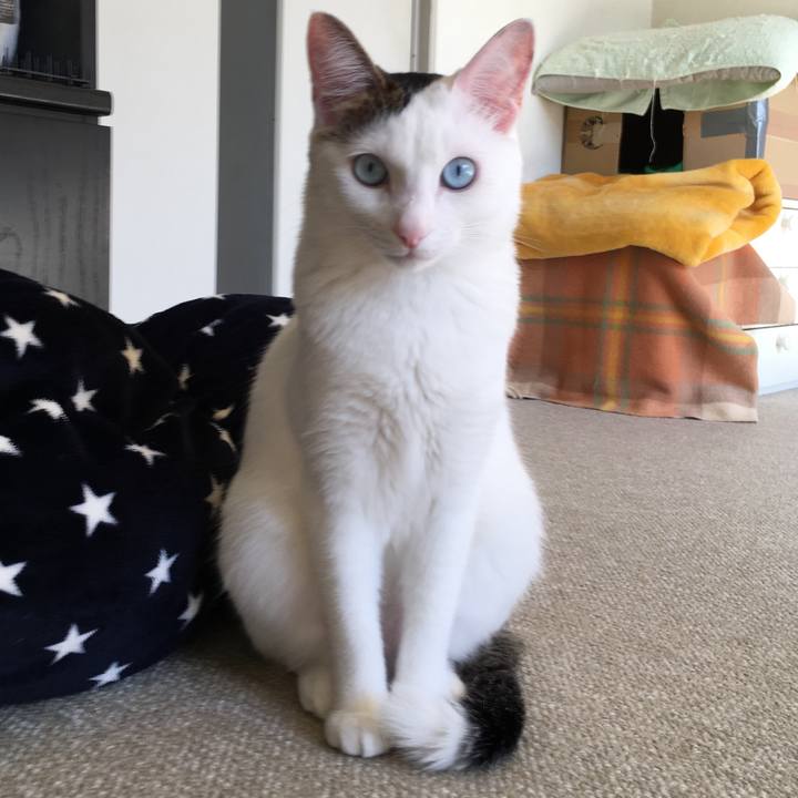 C459b46a 8d37 49f2 8189 ce73eddf05f4 1512272569397