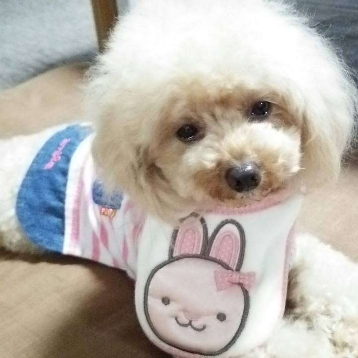 C459c728 f2a8 4bd5 85fa 767a993fa399 1536796423495