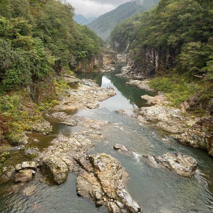 C459dd5d 5c55 4a5c 925a 018a5a8335d3 1570344629031