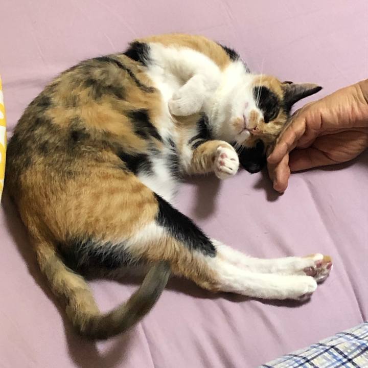 C45a0151 b98f 4655 acf6 15747ee7c395 1596721082667