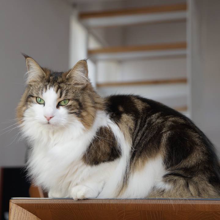 C45a1dd3 7685 4106 9b7f eb5bb94836cc 1550494548850