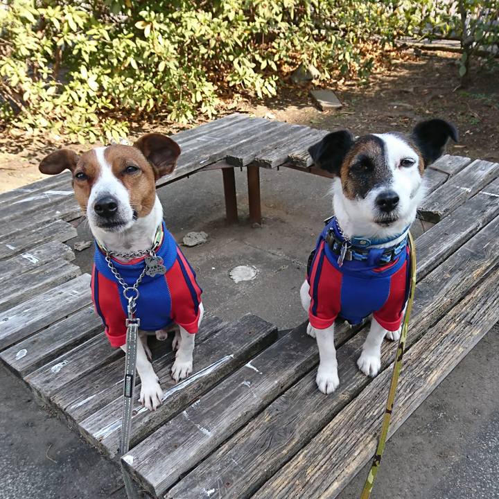 C45a3c0a ae06 4faf 9197 4b7a505cf944 1613265328407