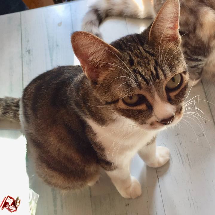 C45a58c5 08d4 4cea 95e6 abc176f7638d 1573267329326