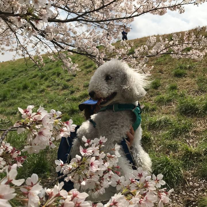 C45a9cb4 c75e 4157 8c79 bef843984f89 1680161174785