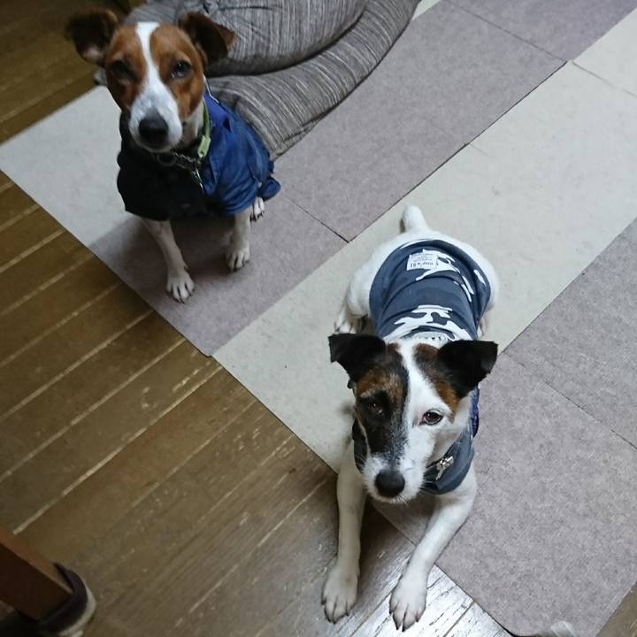 C45ab2d2 3801 4879 9659 51ced7172f34 1601077957031