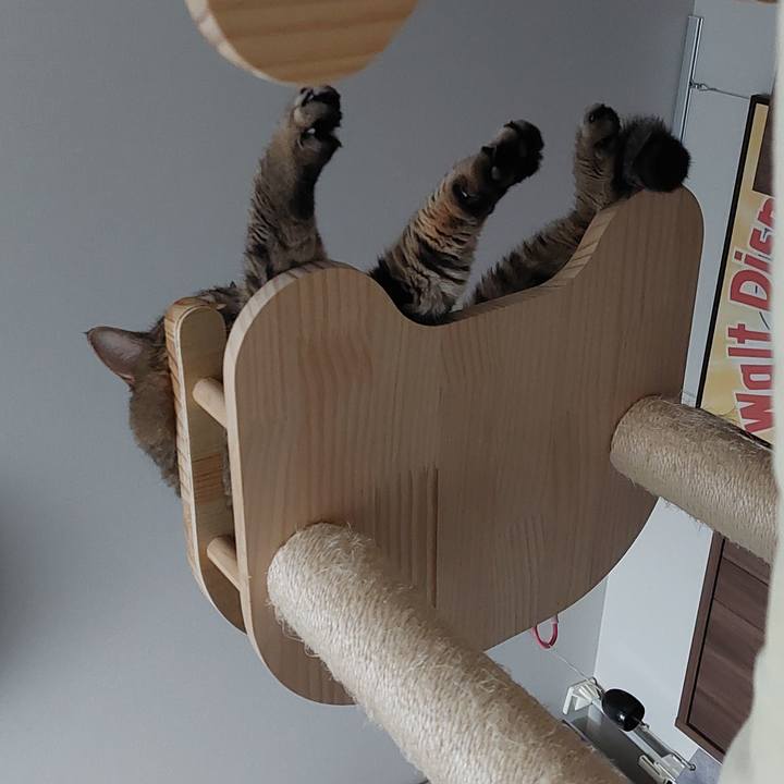 C45ab7ae 3d34 4e96 be15 2869ec6bcbb4 1754702939992