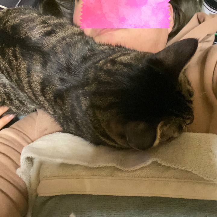 C45acab6 90ed 43c5 8a13 e0841df12ccb 1575900418928