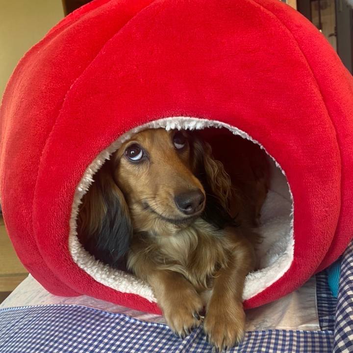 C45aead8 05f6 4628 93df c67665274a69 1636545911874