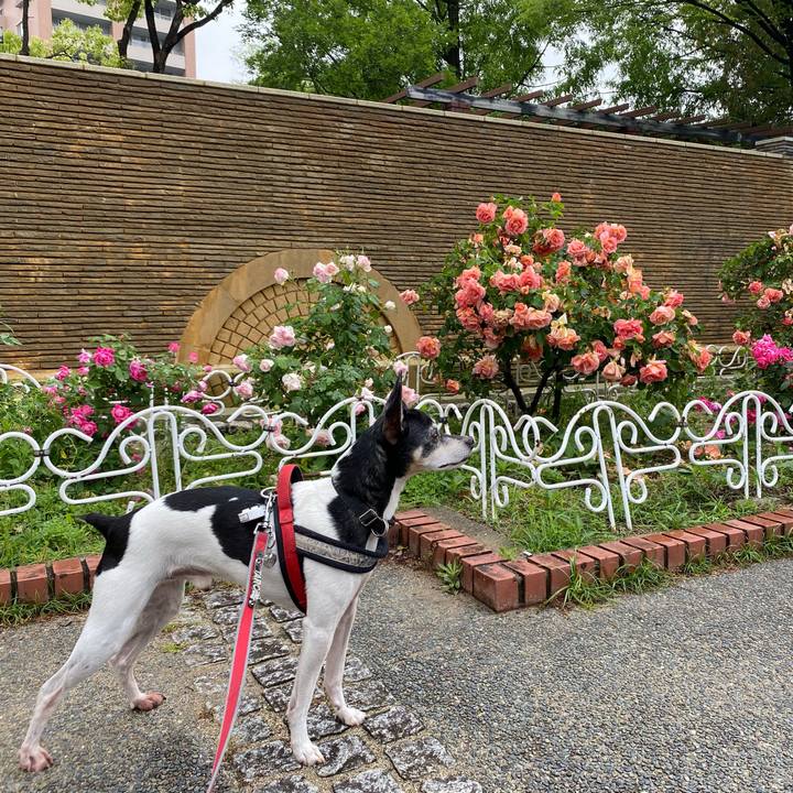 C45af467 afb1 4445 86d1 bddd6b04bd57 1589679504509