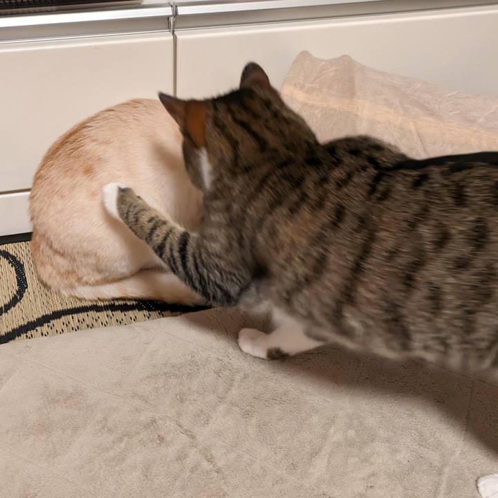 C45b19f5 69fc 465e 84db ffe16227e99d 1689072002568