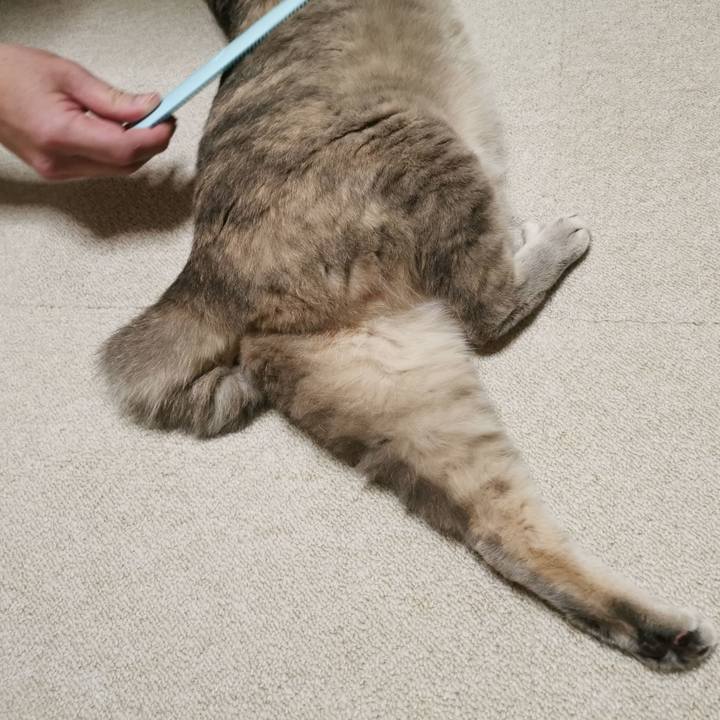 C45b32c9 ef16 4911 ae71 0a1fca2a3fc5 1650120222426