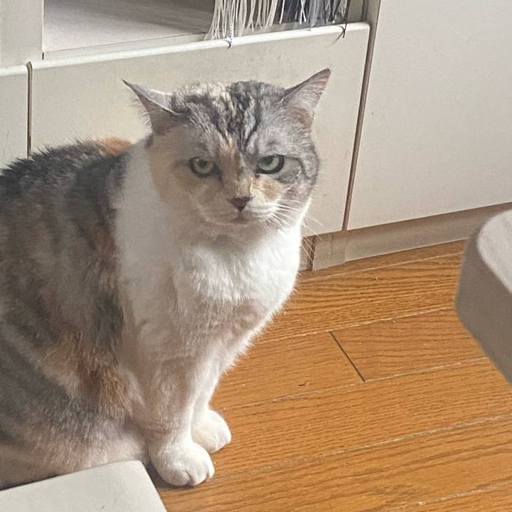 C45b49b0 613a 4ef7 b1e9 4fc0fa0fbc24 1716414781949