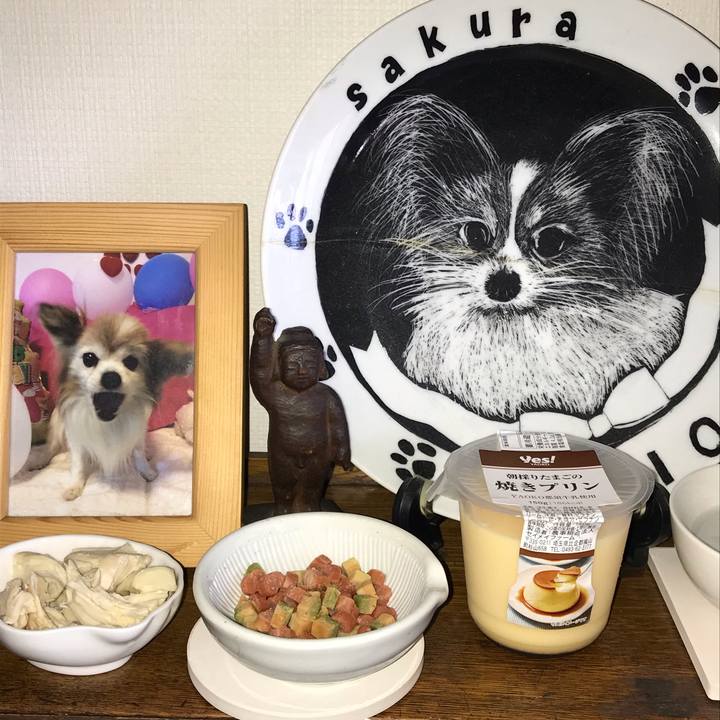 C45b61b2 6f0a 4e16 b599 c859f9ddf724 1565734993006