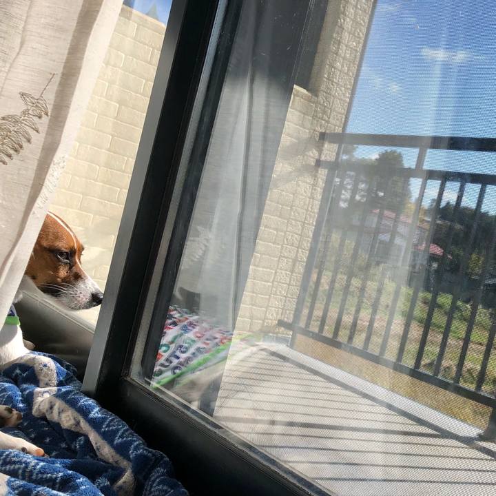 C45b61e4 8343 4d4a 930b a723cd7eaaa7 1602808162630