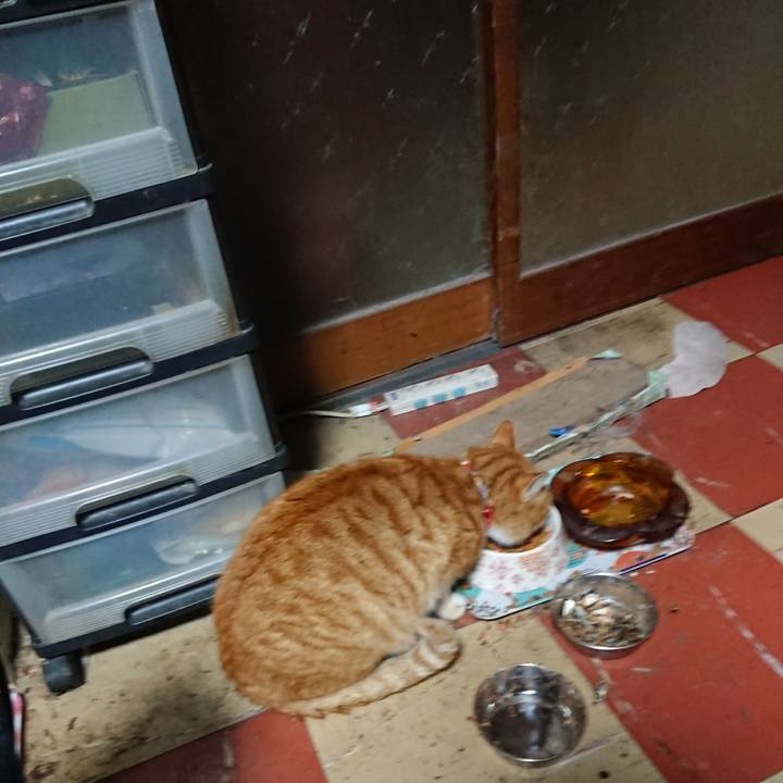 C45b71ee 0b89 493d 97d6 48be839a7526 1578513682505