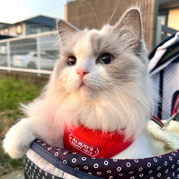 C45ba02f 3256 4894 b8ec f26f26f64ecc 1699402989568